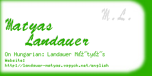 matyas landauer business card